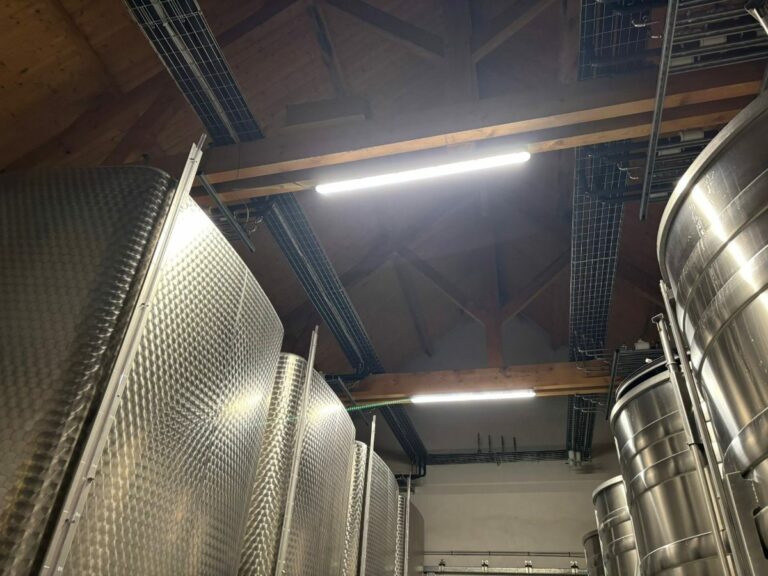 Cuves inox dans une cave, froid vinicole